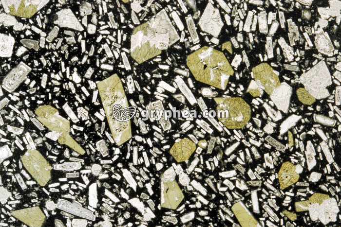 Basalte Stromboli LPNA x2 - gryphea.com